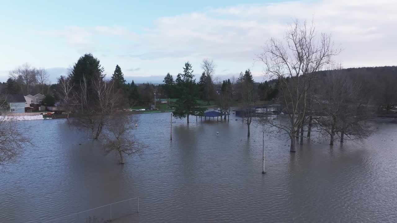 Alberi, pali della luce e case vicine sommersi dalle acque alluvionali sulla pianura alluvionale del White River a Pacific, Washington. Ripresa con drone in discesa.