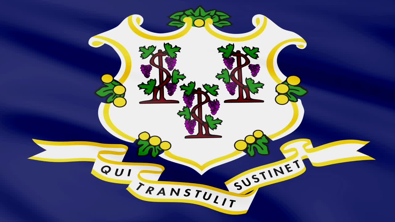 커티의 큰 루핑 애니메이션 발