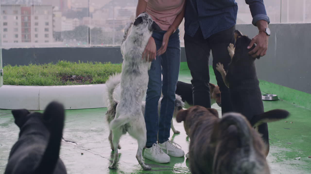 Babe, there's so many!