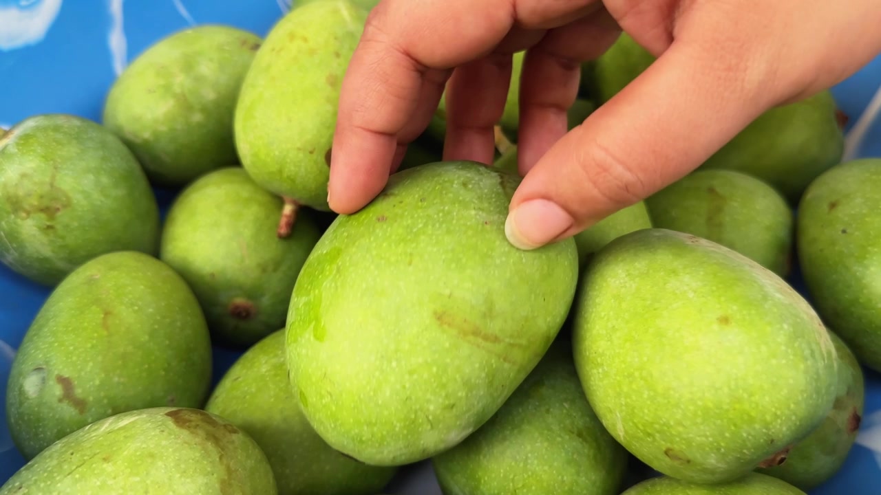 Vista ravvicinata di manghi verdi crudi appena lavati e asciugati con un asciugamano, posti insieme in un contenitore prima della preparazione tradizionale di sottaceti fatti in casa in un ambiente di cucina.