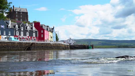 Wunderschön-Gefärbte-Promenade-Des-Dorfes-Tobermory-Auf-Der-Isle-Of-Mull,-Wo-Ein-Schwarzer-Hund-Nach-Dem-Ball-Ins-Ruhig-Plätschernde-Wasser-Springt