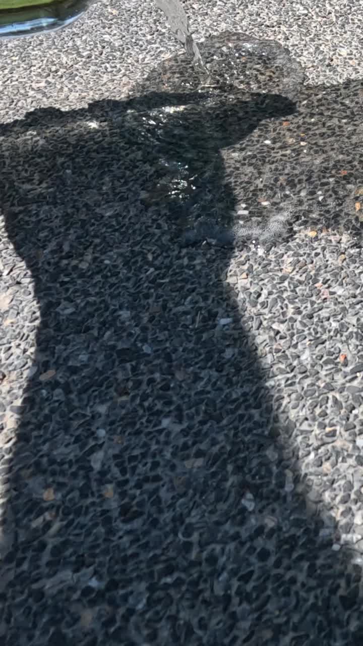 secuencia de sombras que se transforman en el pavimento.