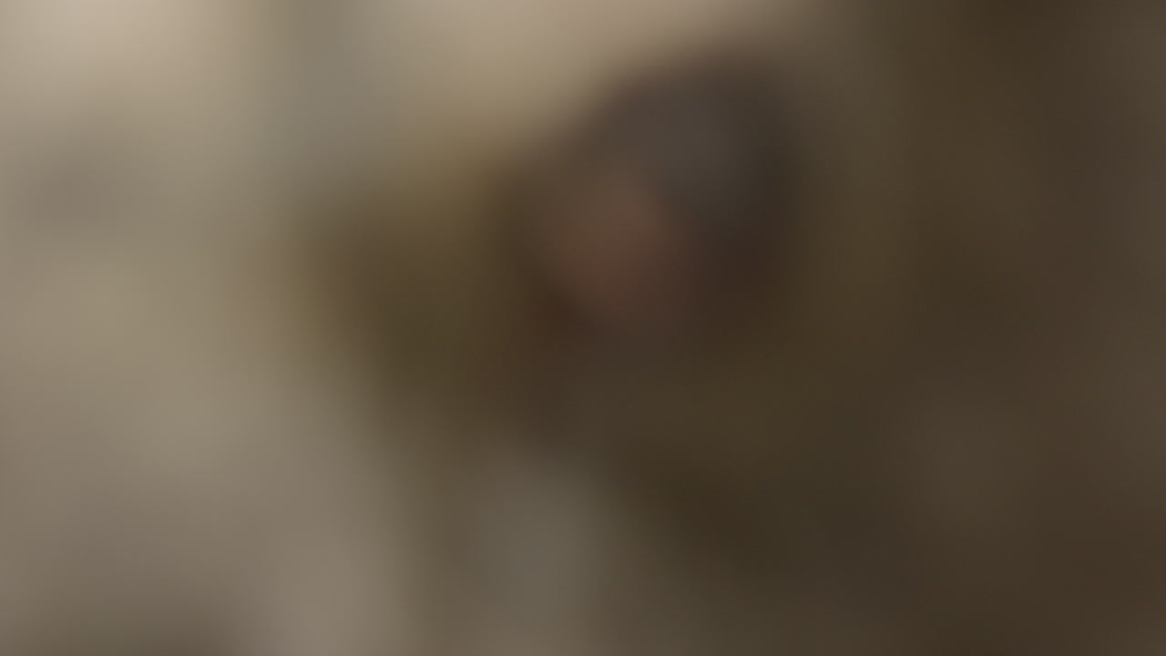 adorables terneros de alce europeo alces alces acostados en prados cubiertos de hierba descansando