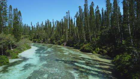 Flying-over-the-laguna-and-revealing-the-natural-pool-in-the-Isle-of-Pines-near-Oro-Bay