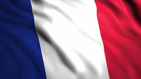 bandera francesa