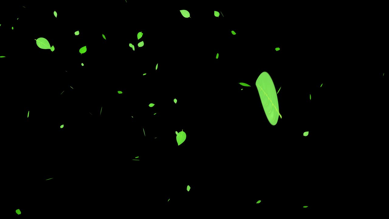 녹색 잎, 신선한 녹색, 떨어지는 입자, 모션 그래픽