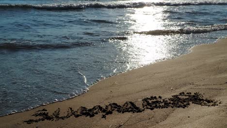 sea waves hitting the beach with summer text on beach