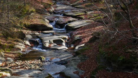 a small river