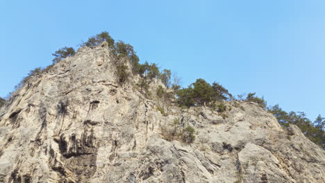 rocky cliff covered with trees