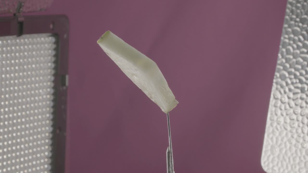 크로마 키를 위한 푸키아 스크린에 루프로 회전하는 파인애플