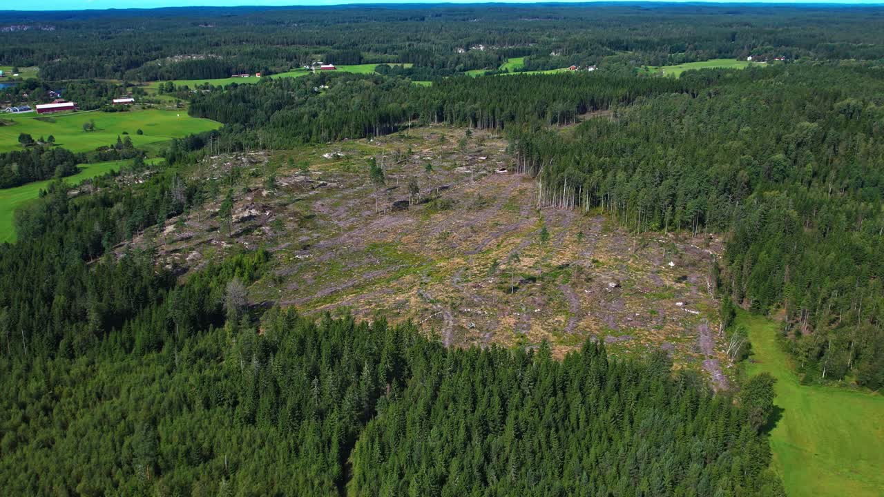 Grinås Kalhyggen, Munkedal, Sweden - A Wide Clearing sits in the Middle of a Dense Forest, Showing a Large Area of Cut Trees Surrounded by Green Fields and Woodlands - Aerial Drone Shot