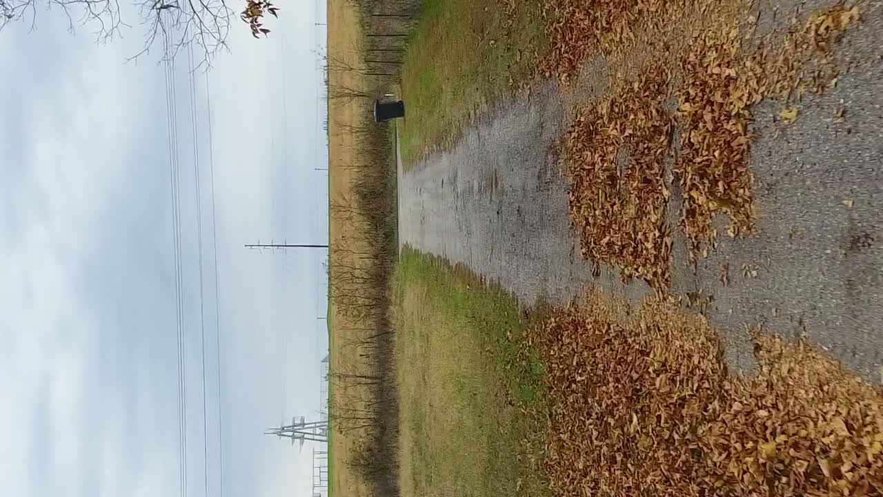 volando a lo largo de un camino cubierto de hojas de otoño naranja durante el otoño en formato vertical