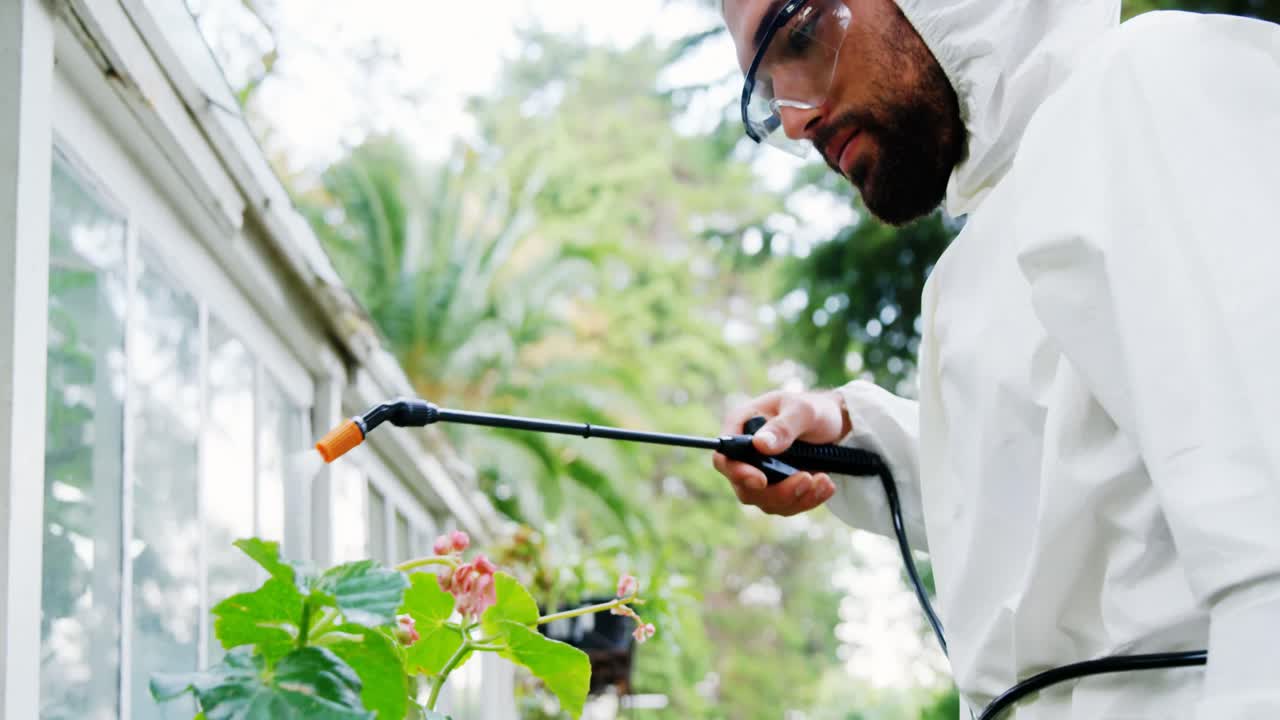 hombre rociando pesticidas sobre la planta