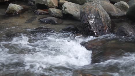 río que fluye en minca santa marta pozo azul