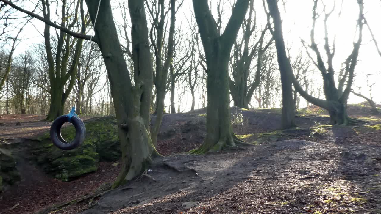 가을 숲에 매달려 타이어 로프 스윙