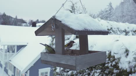 Hölzernes-Vogelhäuschen-Zum-Aufhängen-Im-Freien-Mit-Europäischen-Stieglitzvögeln,-Die-Im-Winter-Fressen