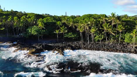 right to left slide shot of view of hawaii island beach south east side with black rocks and natural forest