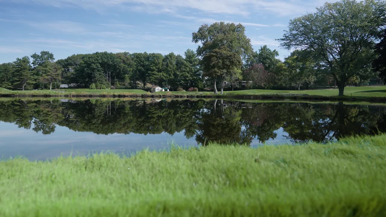 En fredelig dam speiler omkringliggende trær og blå himmel, sett fra en gresskledd bredd på en rolig sommerdag, tilsynelatende på en golfbane