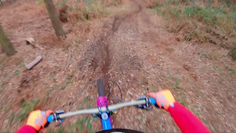 Imágenes-De-La-Cámara-Del-Casco-En-Una-Bicicleta-De-Montaña-En-Cannock-Chase,-Inglaterra