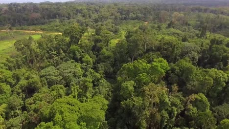 Luftdrohnenansicht-über-Grüne-Regenwaldbäume-Und-Eine-Kleine-Sandstraße,-An-Einem-Bewölkten-Tag,-Im-Wald-Von-Nanga-Eboko,-Haute-Sanaga,-Südkamerun