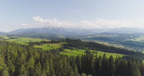 穿越美麗的森林, 樹木, 景觀全景 28