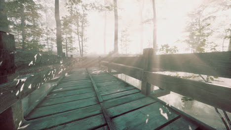 Holzstufen-Im-Wald-Verschwanden-Im-Dichten-Nebel