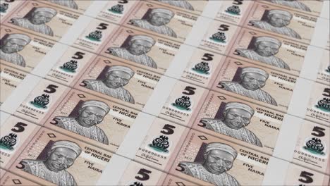 5 nigerian naira banknotes printed by a money press