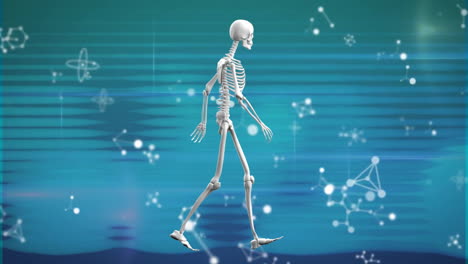 animation of walking skeleton and shapes on gray background