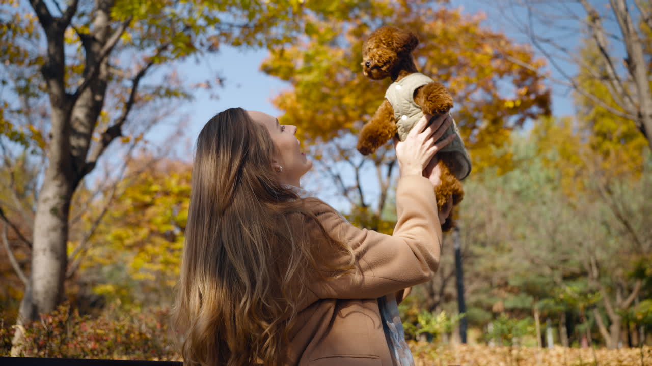 Woman playing with her adorable Toy Poodle in an autumn park