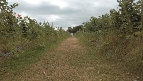 Junges-Mädchen,-Das-Obst-Wie-Erdbeeren-Und-Himbeeren-Auf-Einer-Eigenen-Farm-Pflücken