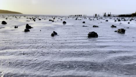 Playa-Irlandesa-De-Arena-Al-Amanecer-En-Cámara-Lenta-De-ángulo-Bajo-Sobre-Montones-De-Arena-Hechos-Por-Gusanos-De-Arena