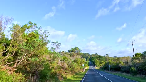 paisaje de carretera de campo con cielo azul y árboles