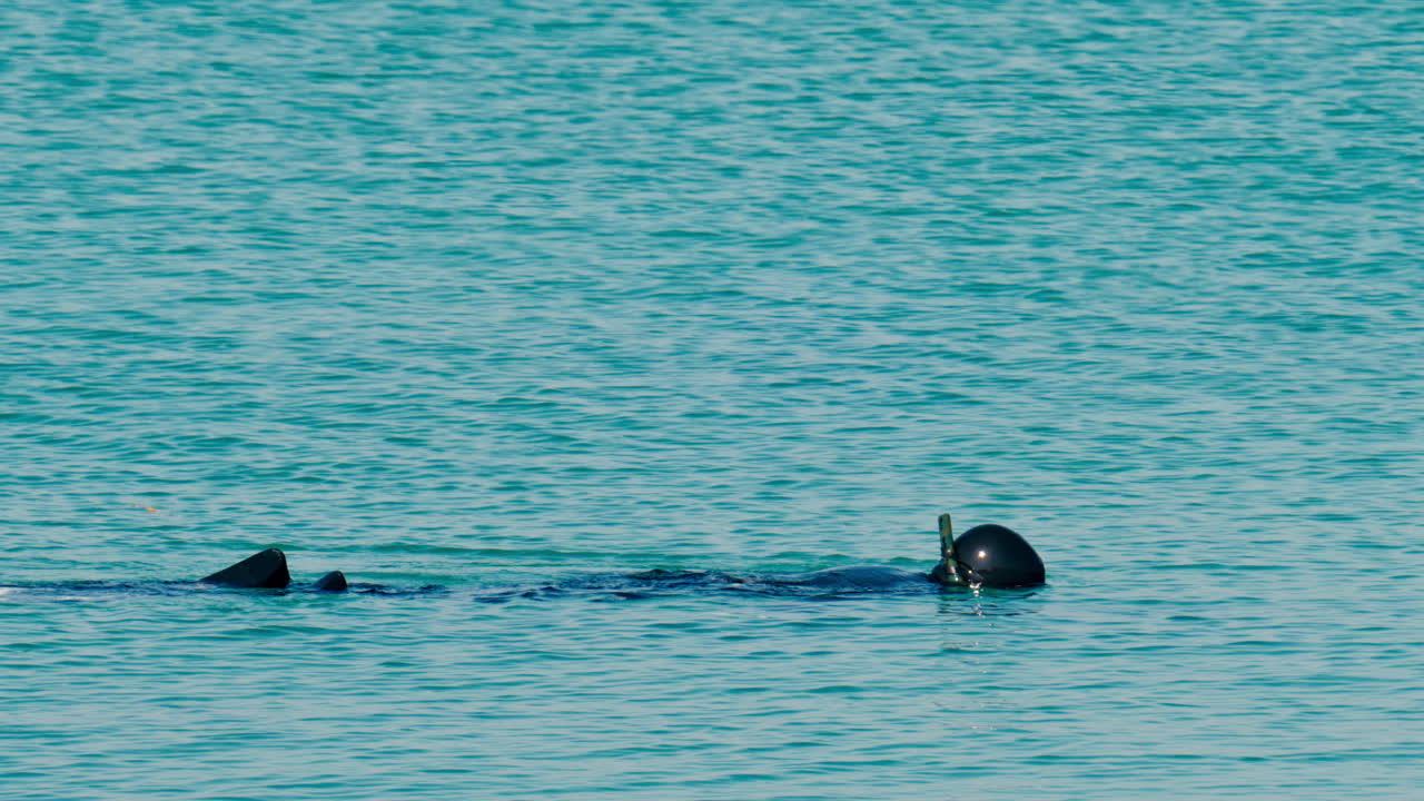 View of a man snorkeling in clear, calm, turquoise-blue water