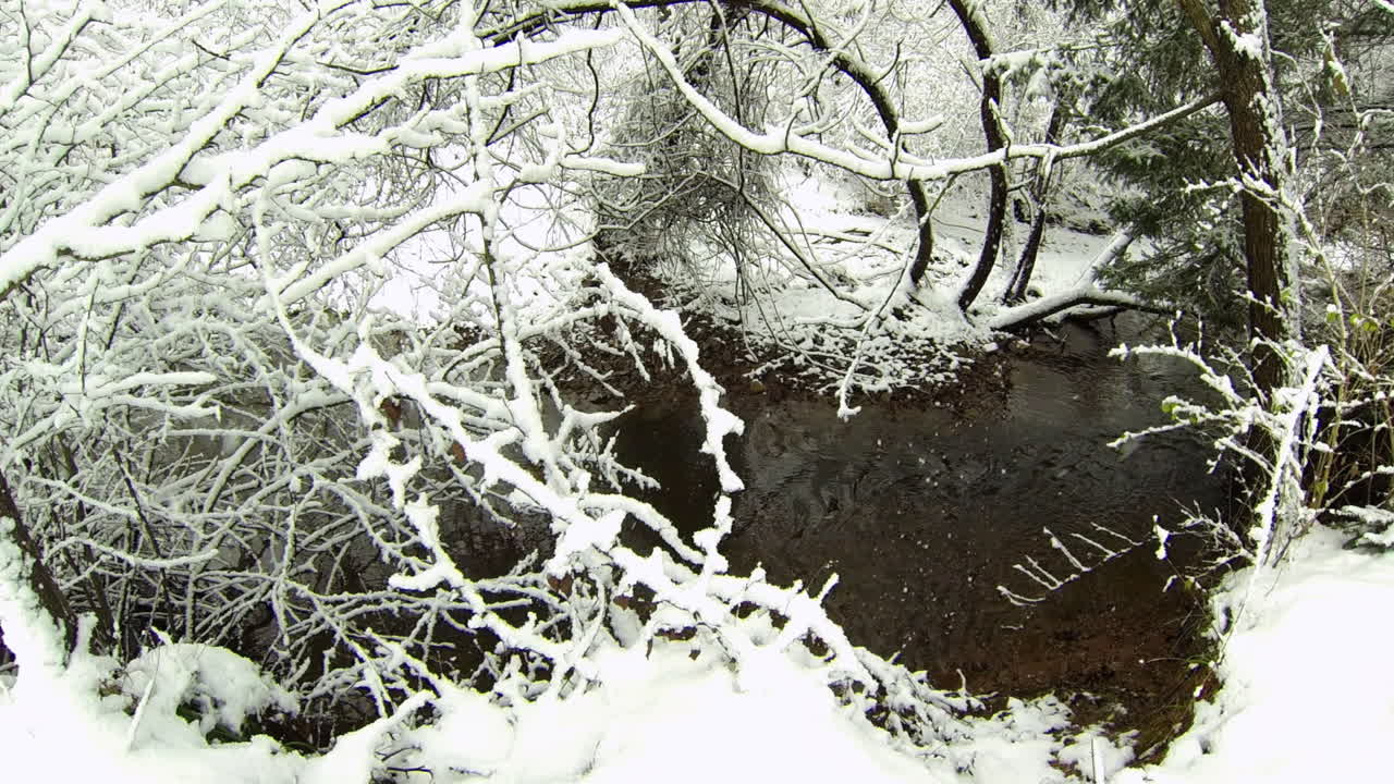 Stream is framed by snow covered trees as snow falls