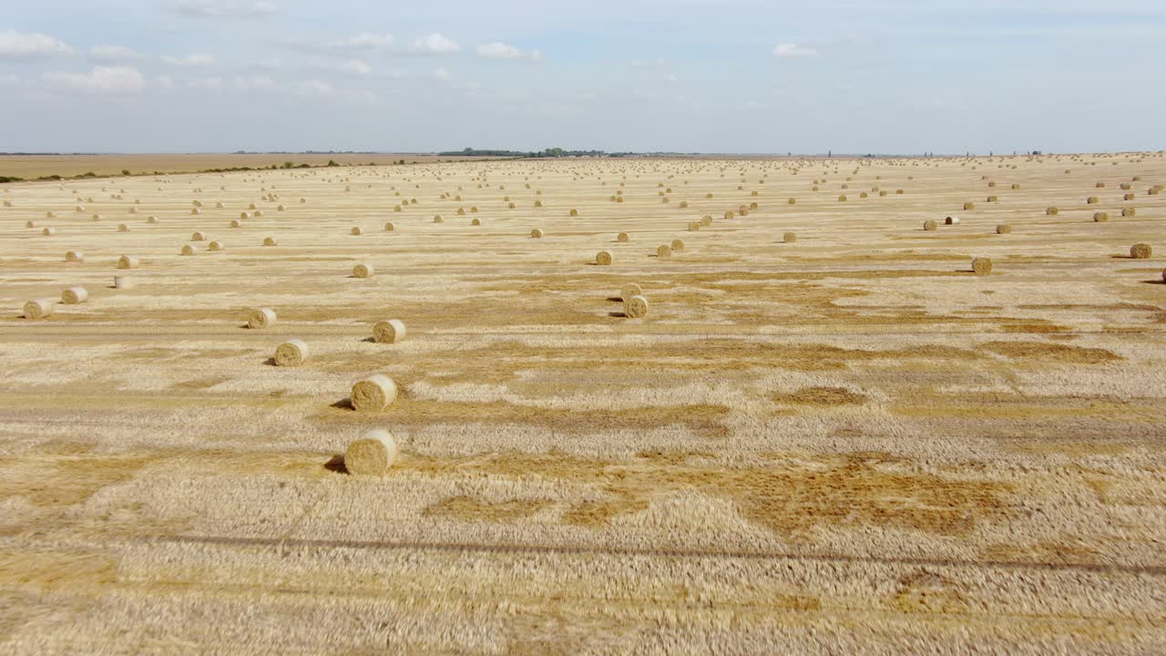 Drone flight over a harvested wheat field with scattered circular hay bales for livestock feed in winter stretching into the distance