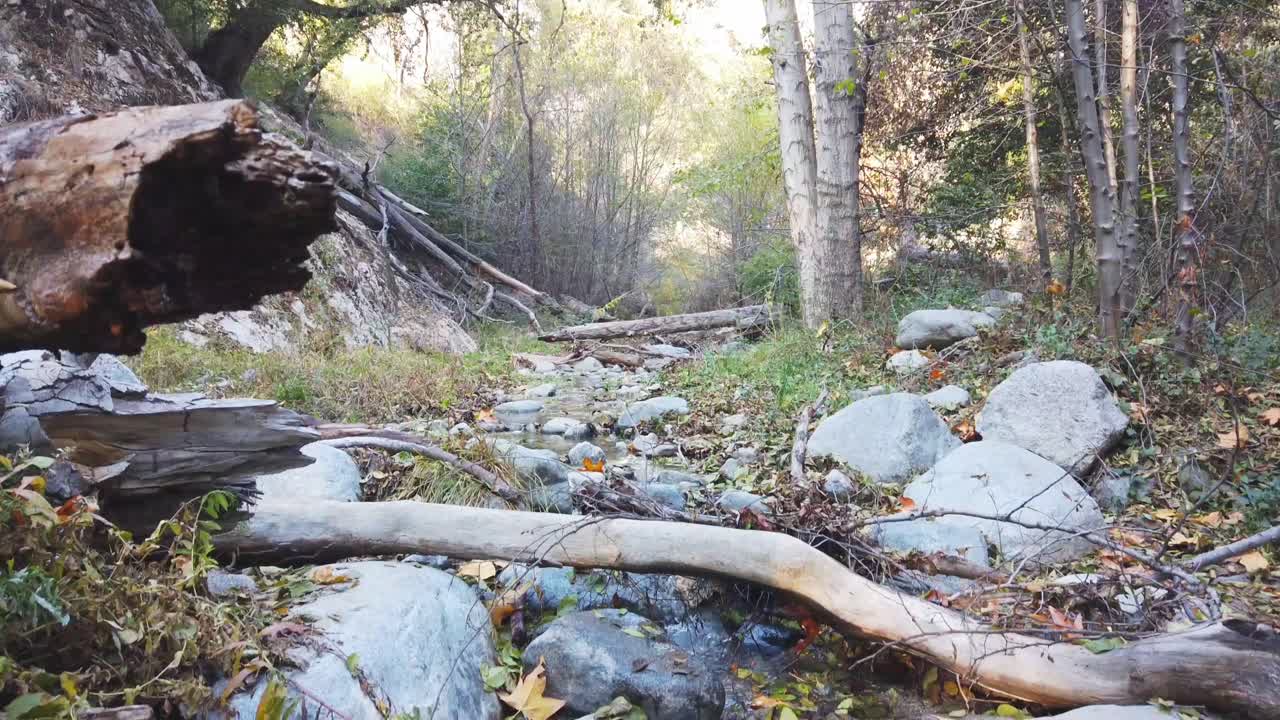 물줄기를 보여주는 스위처 폭포 영상