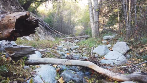 footage of switzer falls showing stream of water