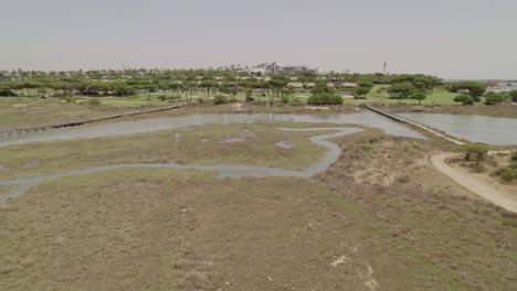 marshes and high tide at midday