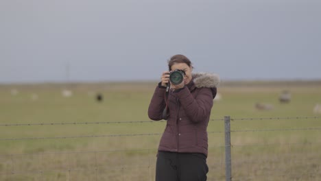 fotógrafo capturando las llanuras islandesas con ovejas en la distancia