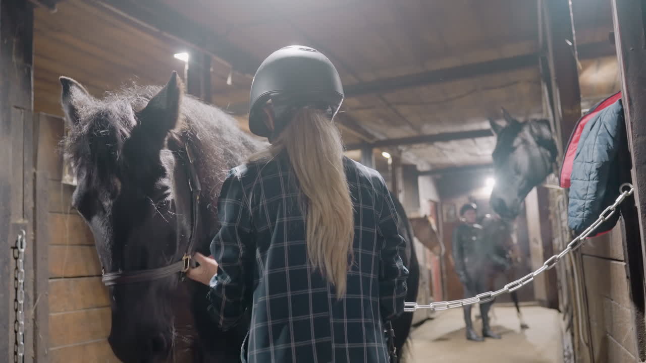 Student rider grooming horse in stable, backview with long hair under helmet, gentle stroking of muzzle, neighbor horse in adjacent stall creating tandem composition, warm barn light, calm trust