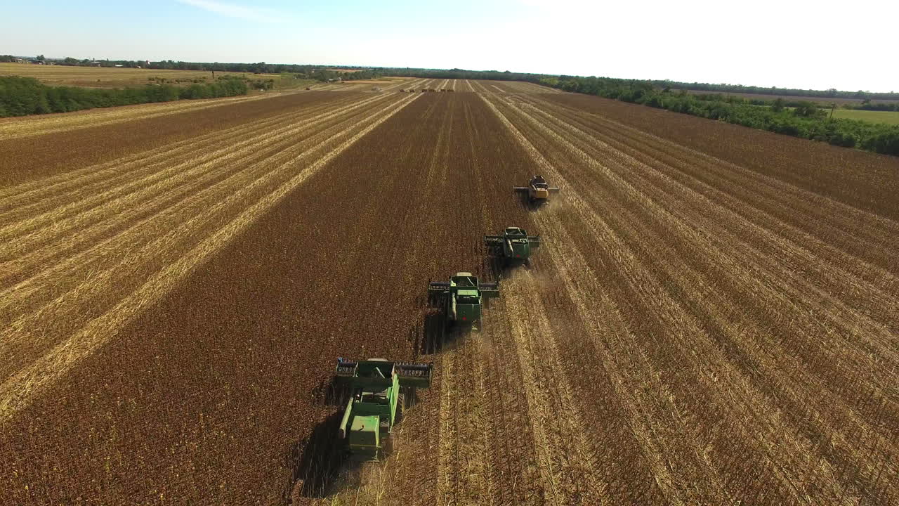 Aerial View of Combine Harvesters Working in a Field