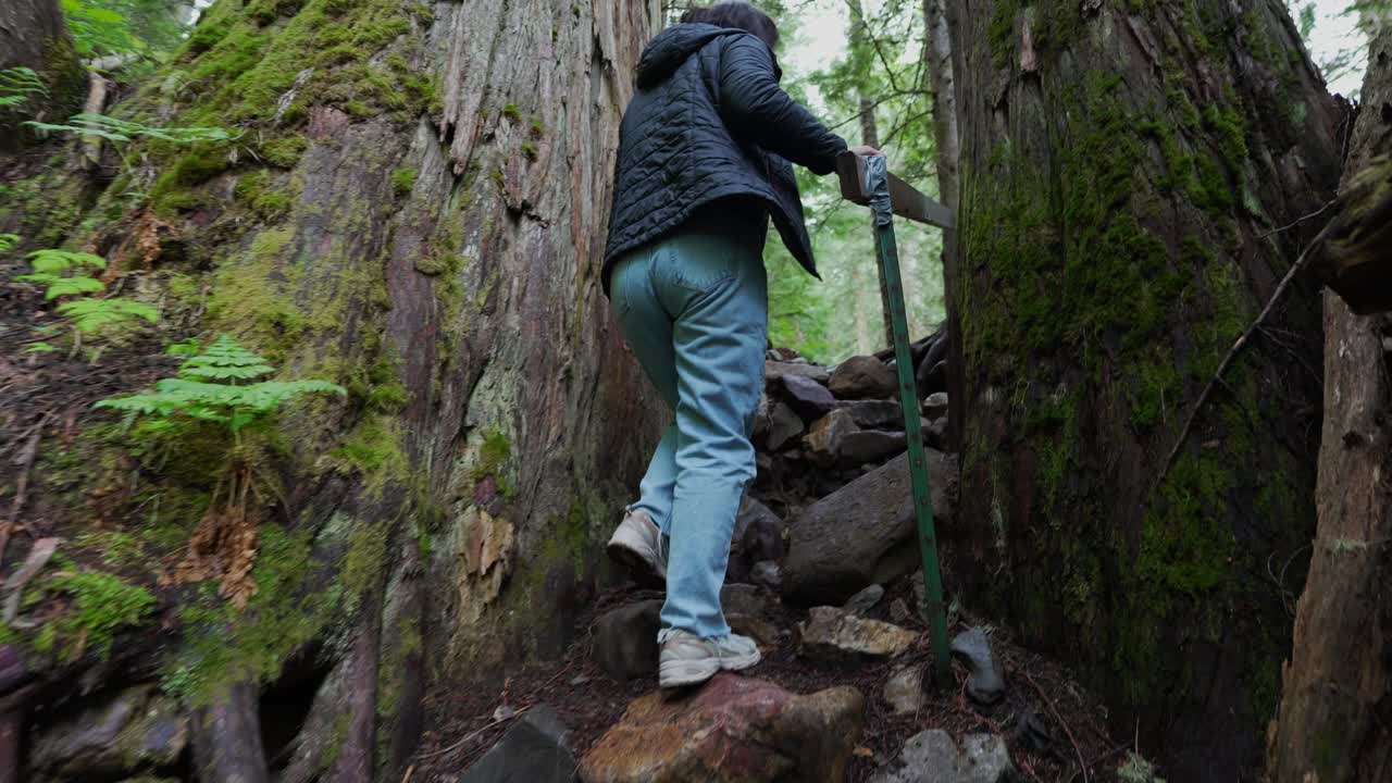 Donna che fa escursioni sul sentiero della foresta antica Chun T'oh Whudujut