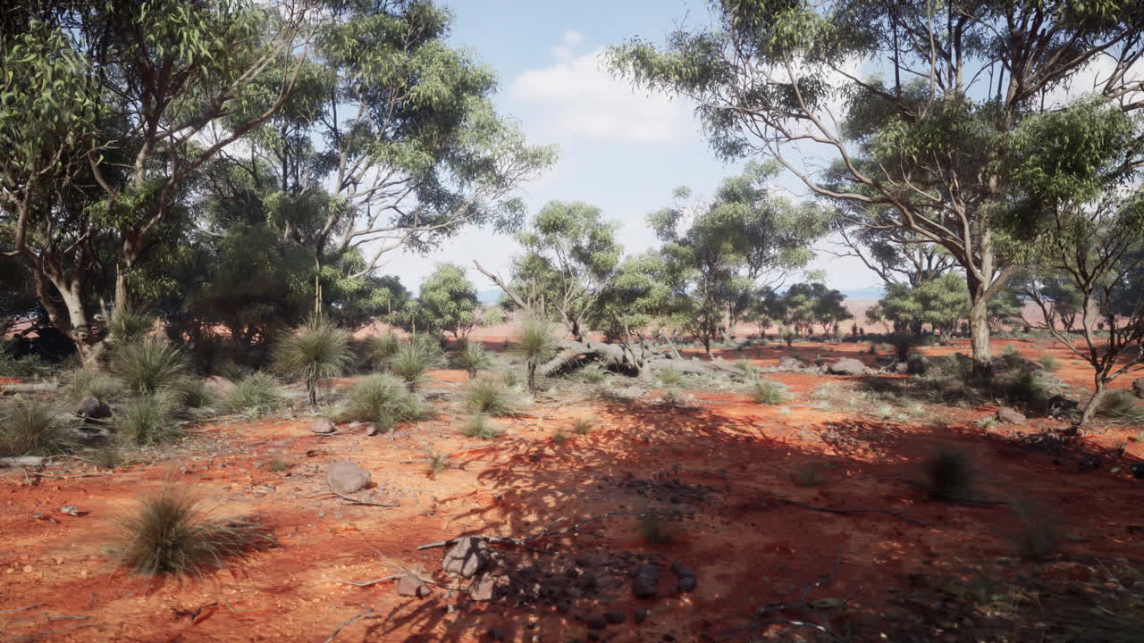 paisaje del interior de australia: tierra roja y flora nativa