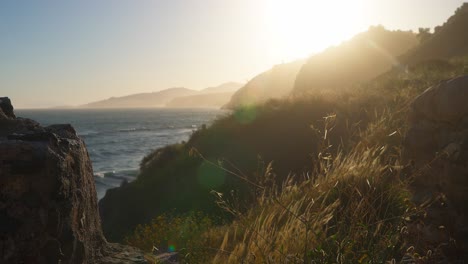 rock and tall grass during sunset on the shore of nerja, spain