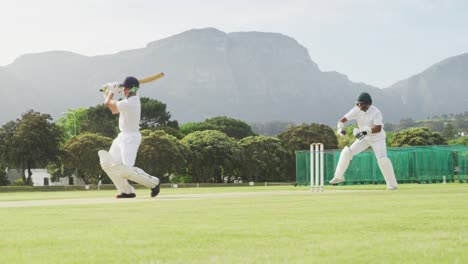 jugador de cricket atrapando la pelota y destruyendo los sellos