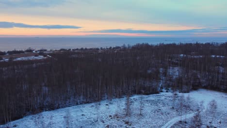 Deforestado-Bosque-Quemado-De-Daugavgriva-Letonia-Antena