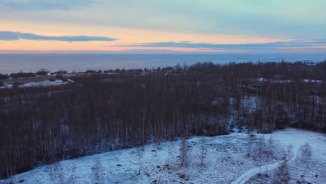 deforestado bosque quemado de daugavgriva letonia antena