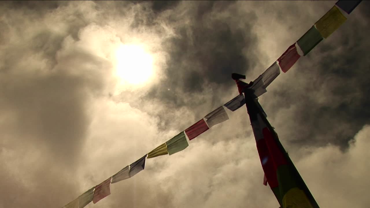 站在祈禱旗上的一隻鳥