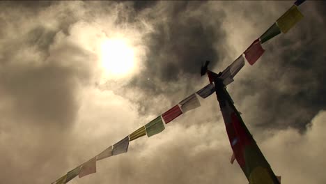 Bird-standing-atop-prayer-flags