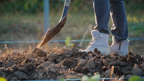 the woman farmer digs a vegetable garden only the legs in working shoes are visible in the frame